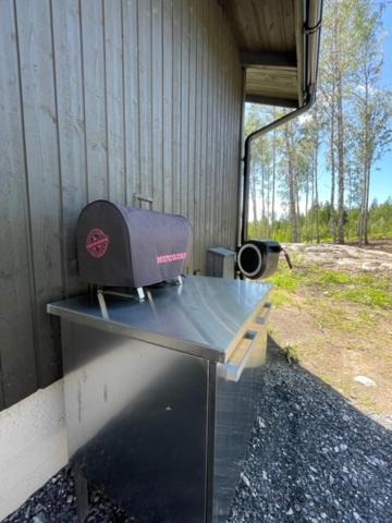 Villa Lyxfaellan Kemionsaari Luaran gambar